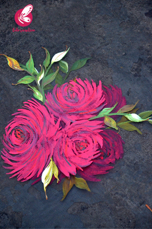 Black Pure Organza Roses Floral Hand painted Stole