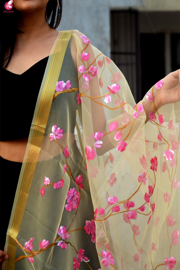 Cream Organza Floral Hand Painted Stole