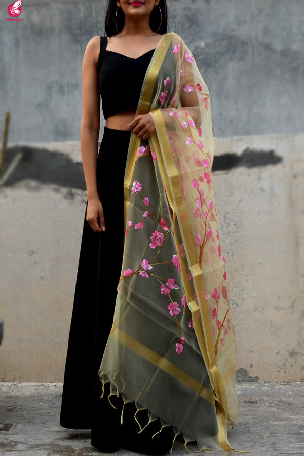 Cream Organza Floral Hand Painted Stole