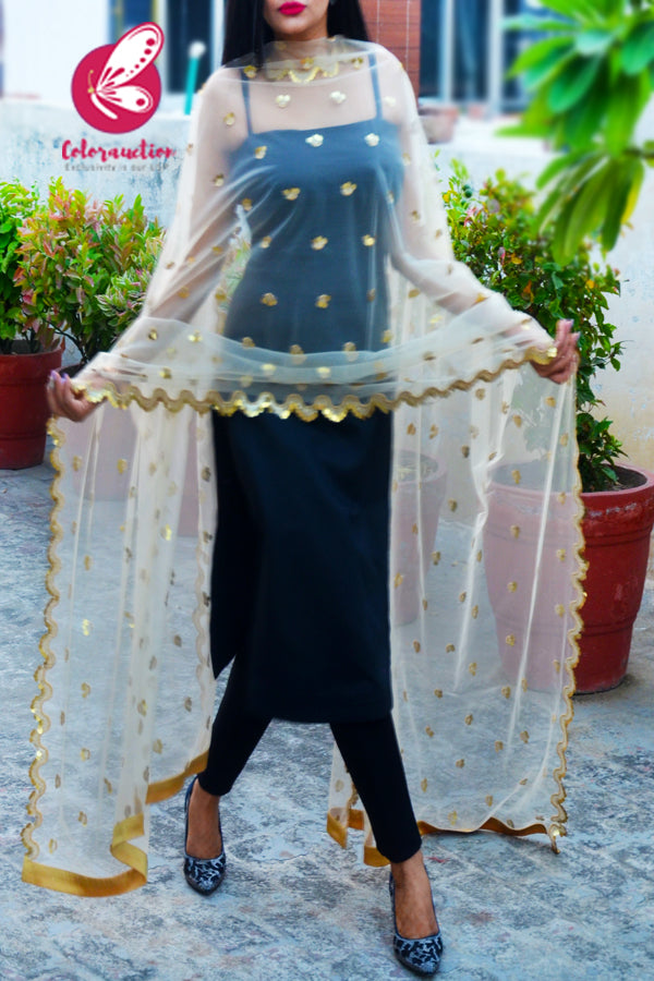 Off White Heavy Net Embellished Border Dupatta