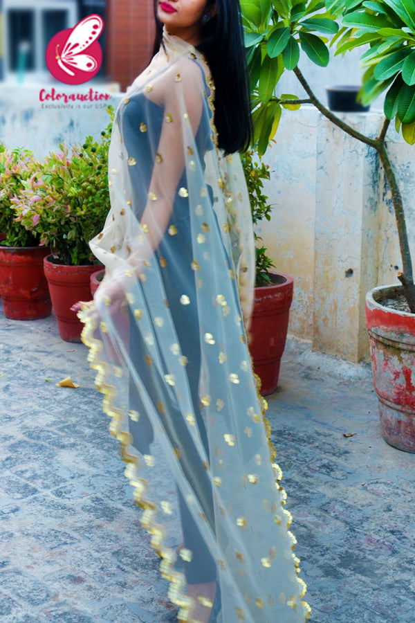 Off White Heavy Net Embellished Border Dupatta
