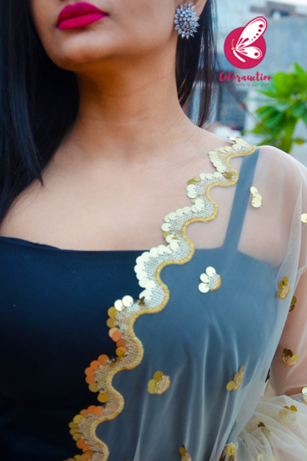Off White Heavy Net Embellished Border Dupatta