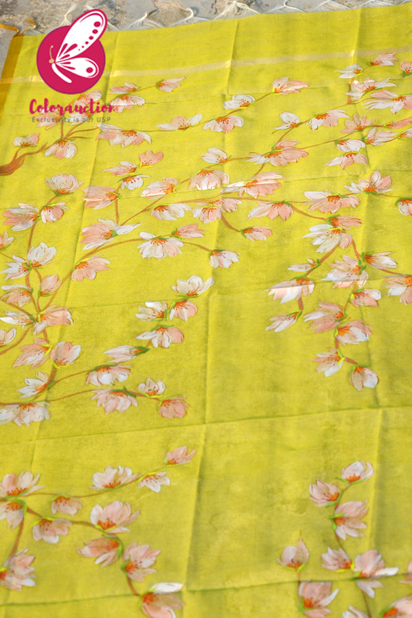 Lime Green Organza Hand-painted Peach Floral Stole