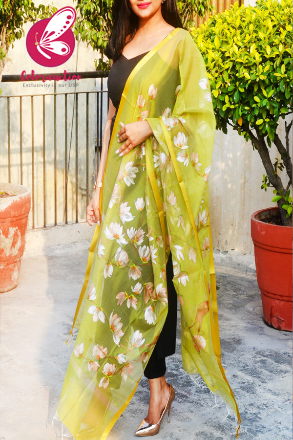 Lime Green Organza Hand-painted Peach Floral Stole