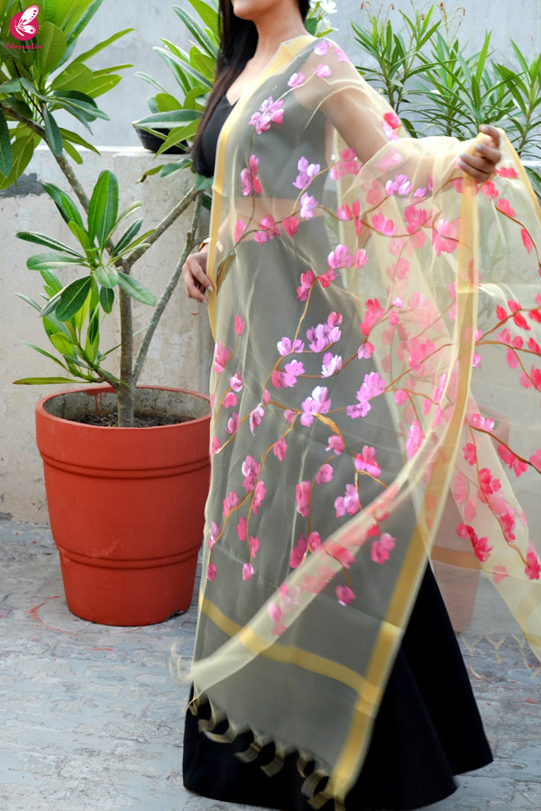 Cream Organza Hand painted Floral Stole