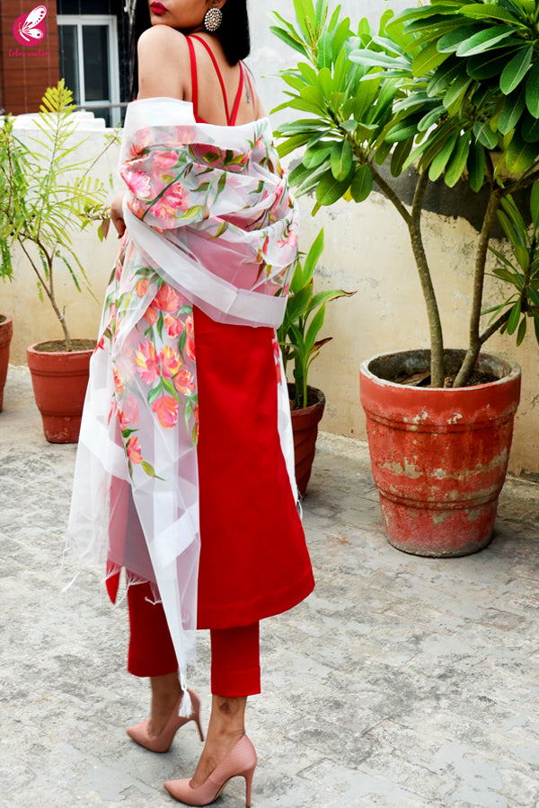 White Organza Hand painted Colorful Floral Red Stole