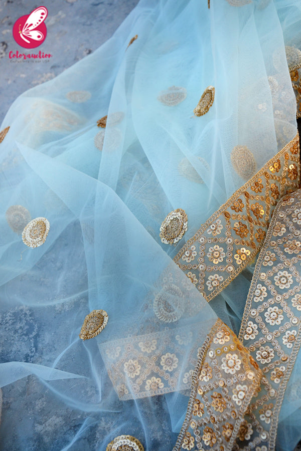 Sky Blue Heavy Net Zari Border Dupatta