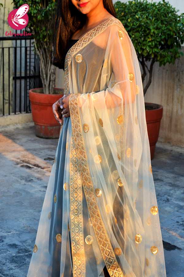 Sky Blue Heavy Net Zari Border Dupatta