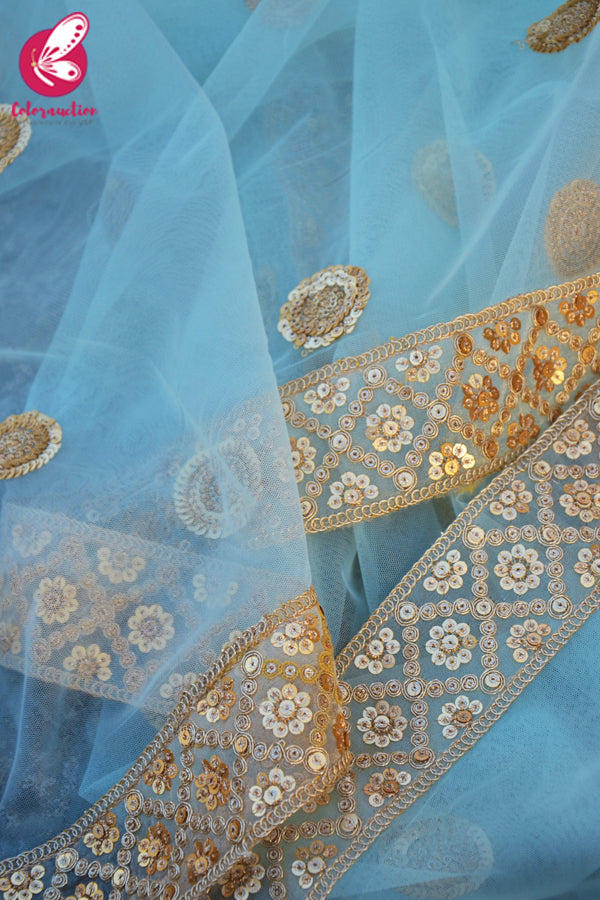 Sky Blue Heavy Net Zari Border Dupatta