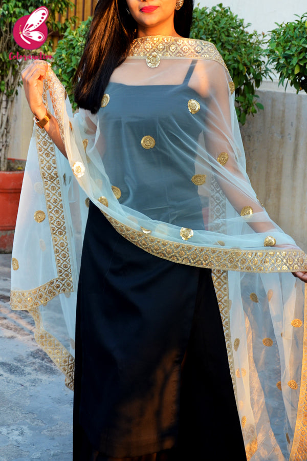 Sky Blue Heavy Net Zari Border Dupatta